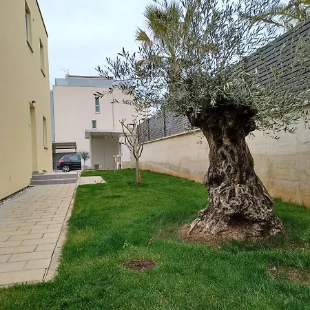 Apartments Leon 1 Novigrad (Istria) Exterior photo